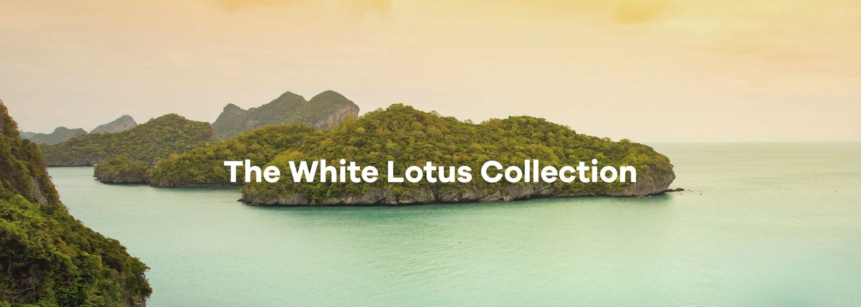 White Lotus Collection